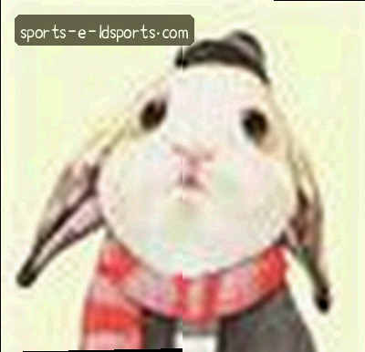 吴峰